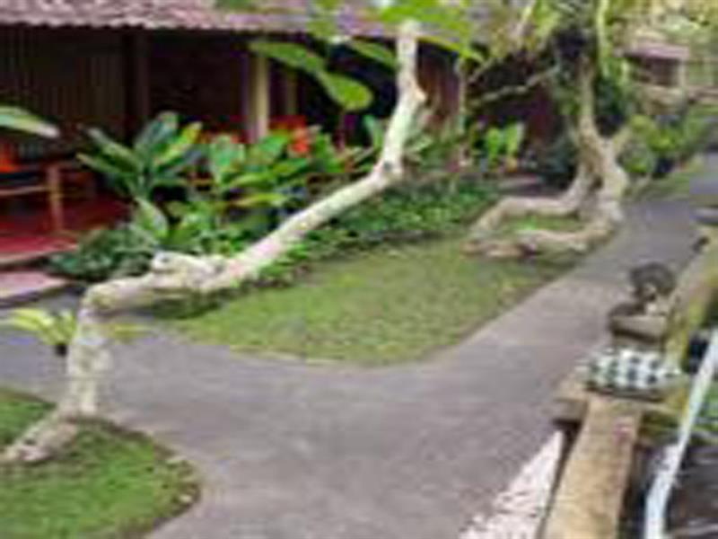 Jati Home Stay Убуд Экстерьер фото